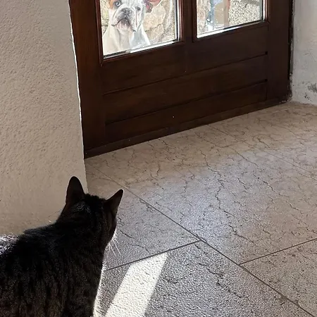 Seeblick Und Offener Kamin - Casa Di Florian